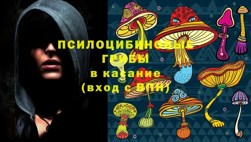 Псилоцибиновые грибы MAGIC MUSHROOMS  Бородино 